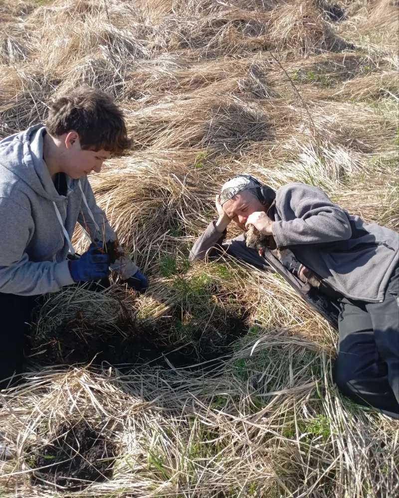 Tree planting work