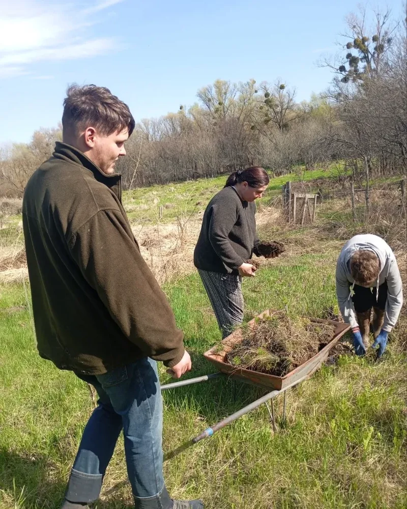 Community team working together